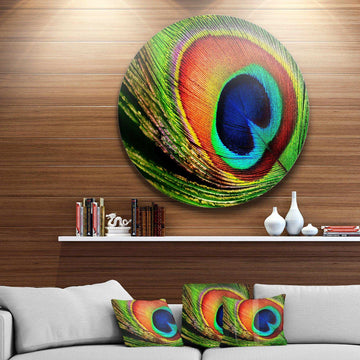 Peacock Feather - Animal Photography Circle Metal Wall Decor